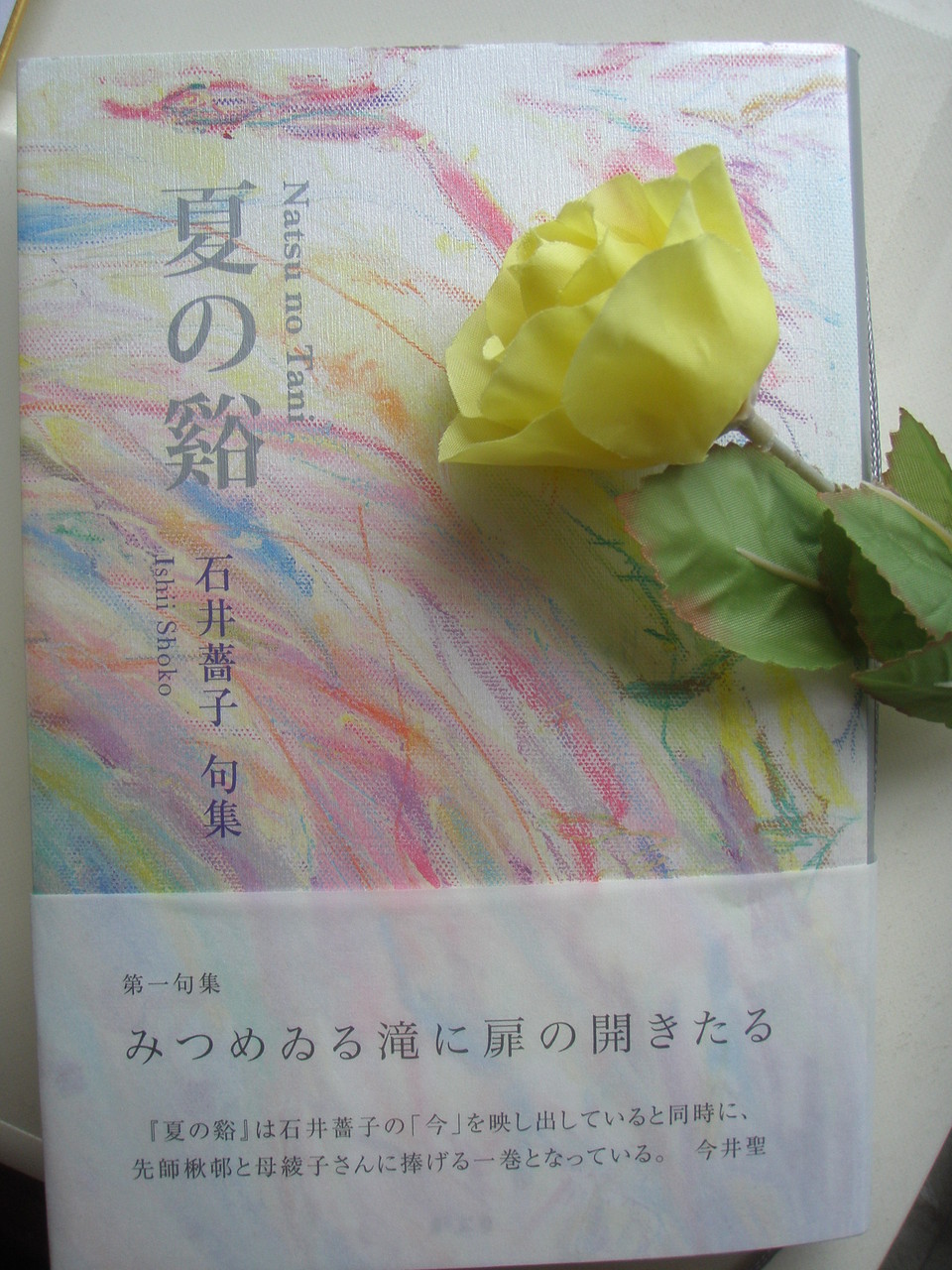 石井薔子さんを悼む 俳句と主夫の間で ２