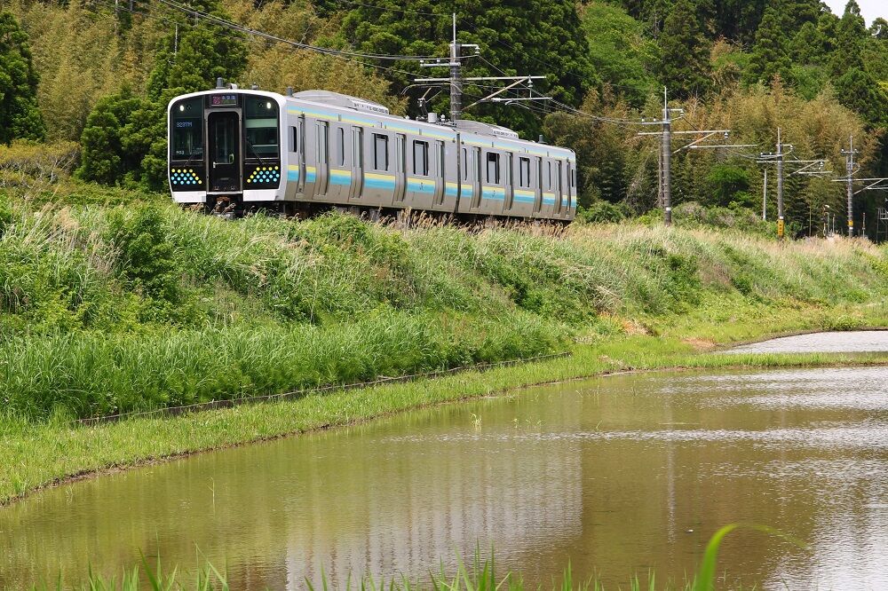 鉄道写真】いすみ鉄道・キハ52-125 営業運転開始10周年HM : 鶴岡畳産業