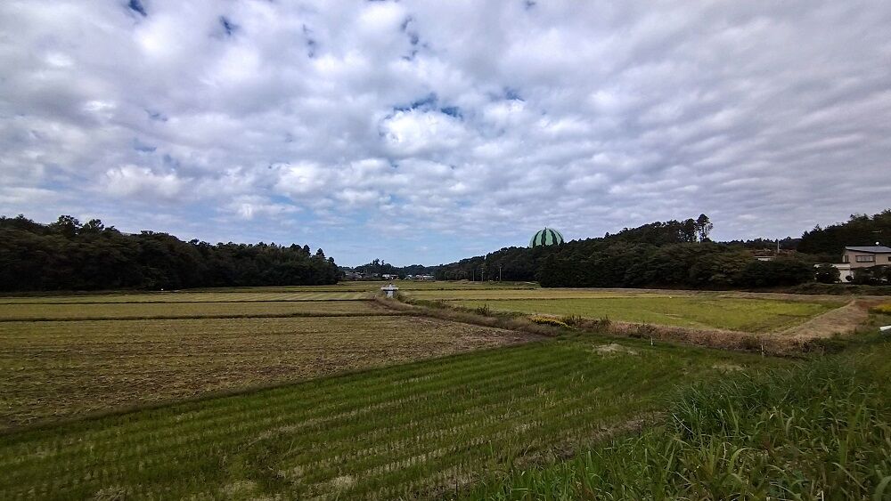 おでかけ 富里市 スイカガスホルダーとe217系 鶴岡畳産業ブログ 最強猫 バーニーと遊ぼ