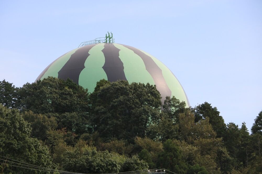 おでかけ 富里市 スイカガスホルダーとe217系 鶴岡畳産業ブログ 最強猫 バーニーと遊ぼ