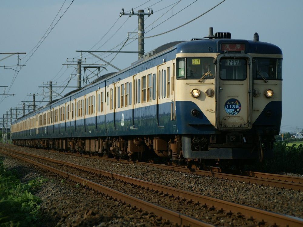 鉄道模型】TOMIX・113系1500番台 横須賀色 : 鶴岡畳産業ブログ
