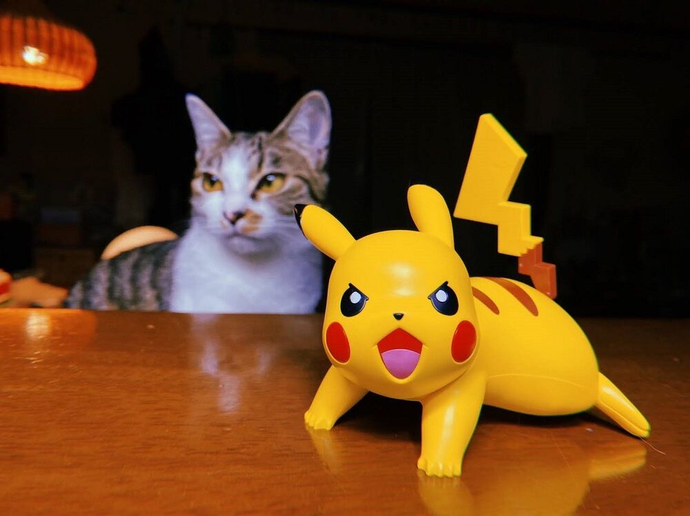 プラモデル バンダイ ポケプラクイック No 3 ピカチュウ 鶴岡畳産業ブログ 最強猫 バーニーと遊ぼ