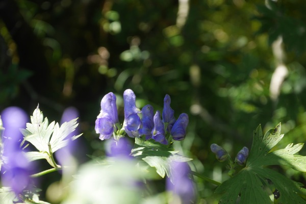 P1250141