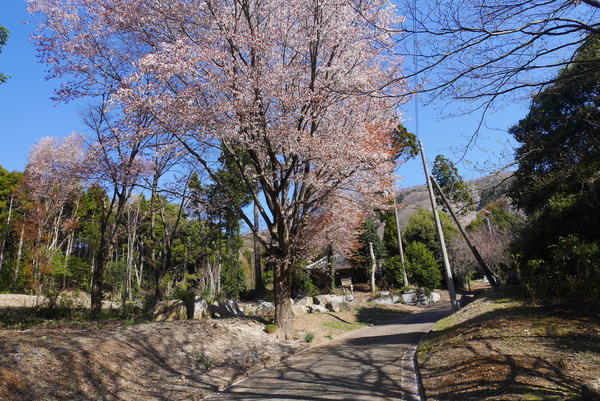 P1200626