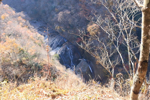 IMG_8724
