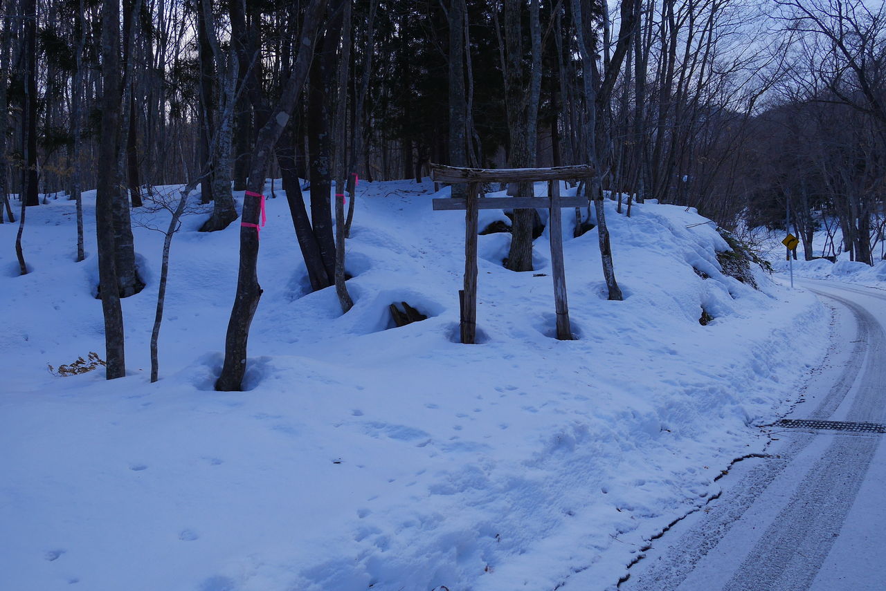 積雪期限定 樹氷と大展望の観音山 あの空に背伸びして 積雪期限定 樹氷と大展望の観音山 あの空に背伸びして