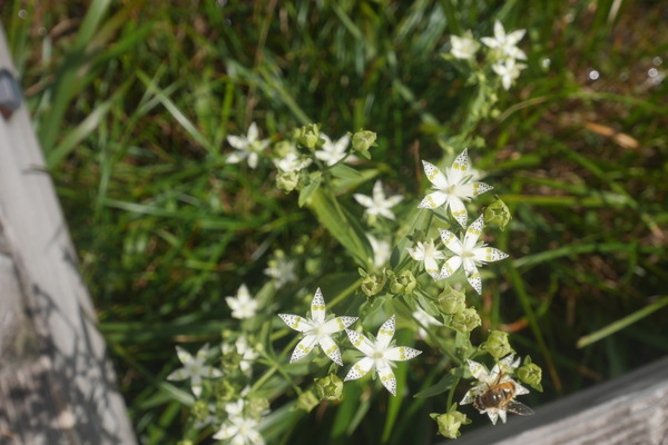 P1250282