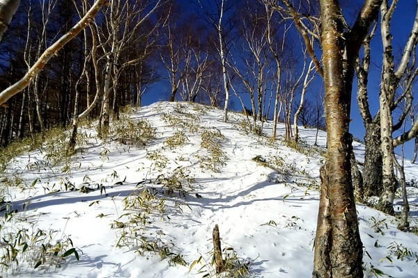 20190123_095816777