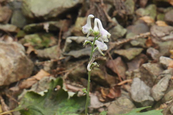 P1250537
