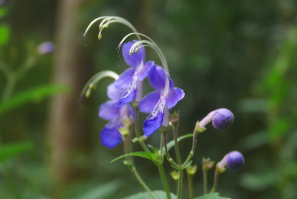 P1240465