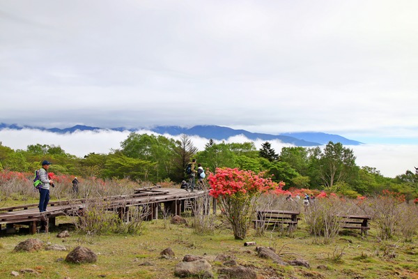 IMG_7539