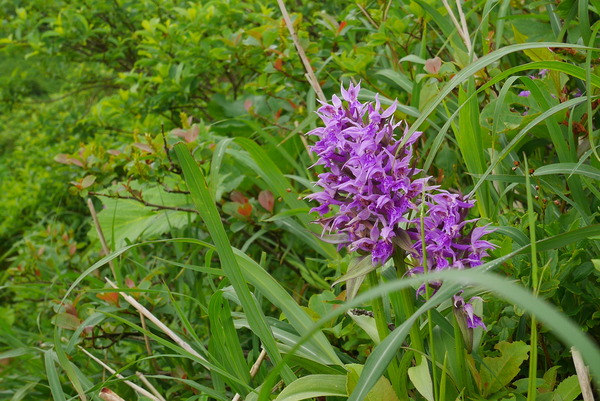 P1220033