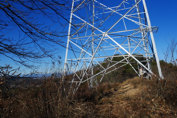P1190145