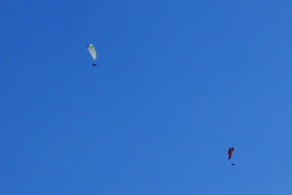 P1180666