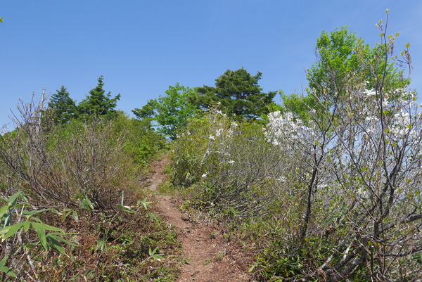 P1210232