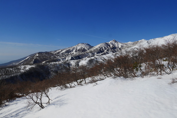 P1200231