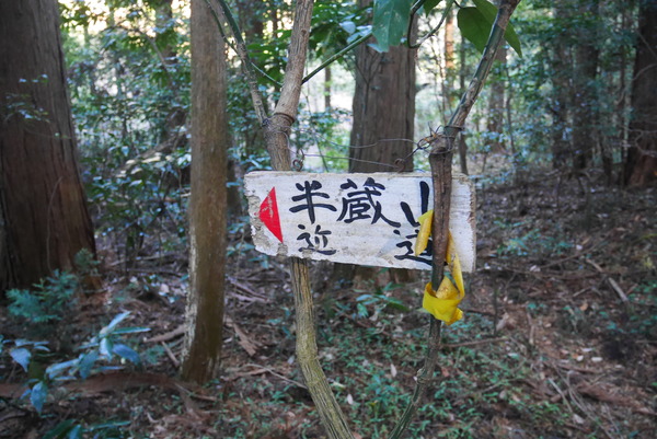 P1180903