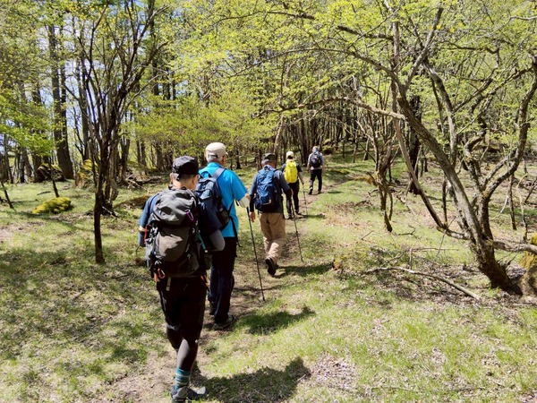 LINE_ALBUM_前日光・横根山_260515_6