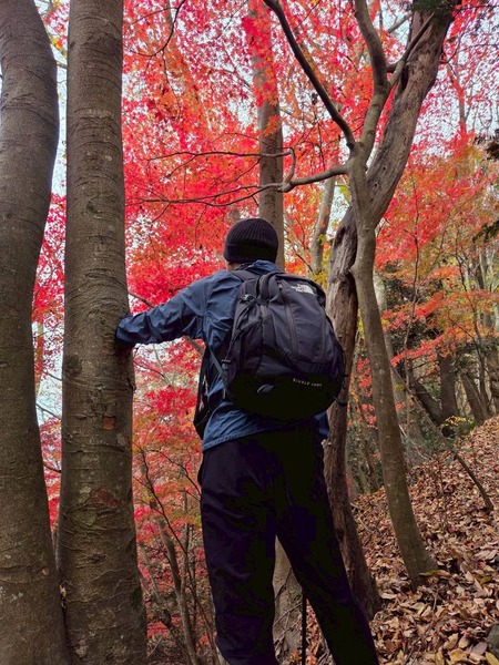 LINE_ALBUM_ナベコロアルバム_251120_8