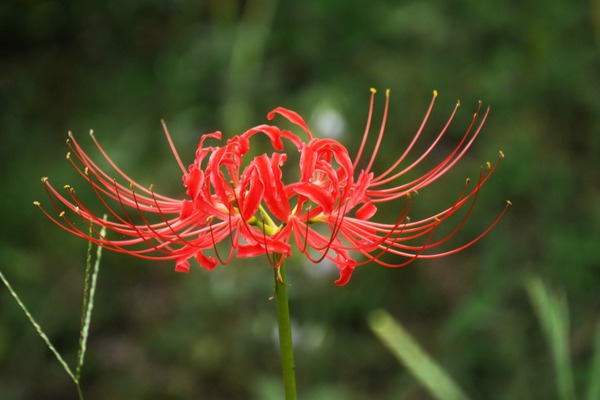 P1250321