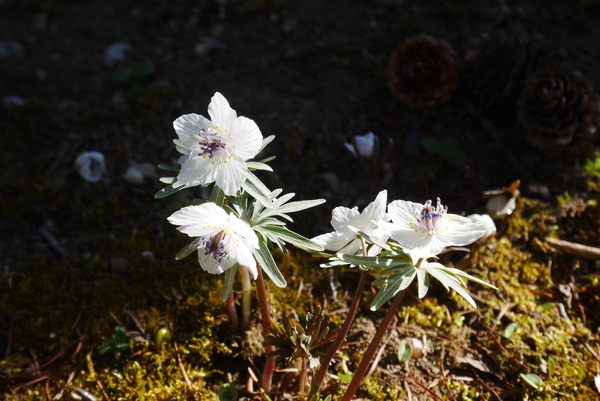 P1190958