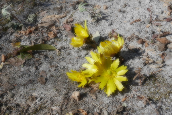 P1200053