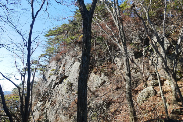 P1180655
