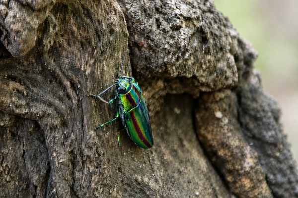 08644952-c2e3-4f6d-96ae-e5c3b059ef2a