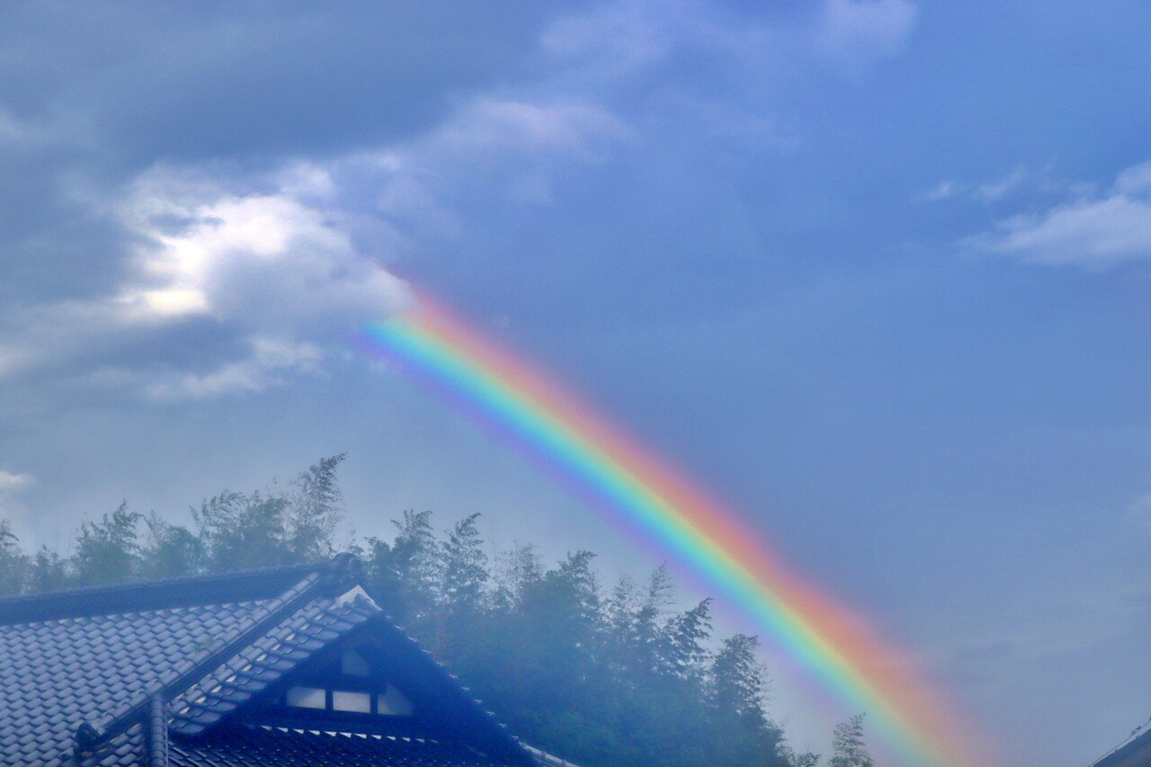 雨上がりの虹 : あの空に背伸びして