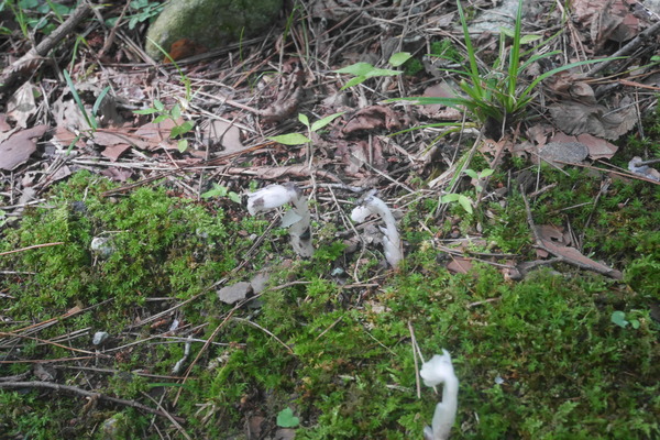 P1250206
