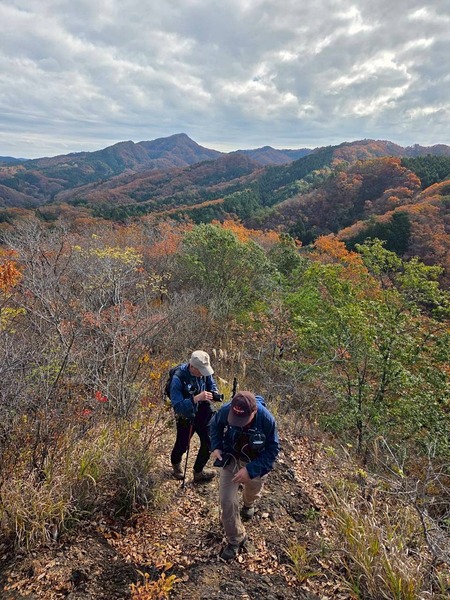 LINE_ALBUM_ナベコロアルバム_251120_14