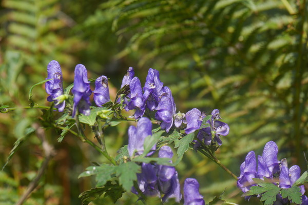 P1250251