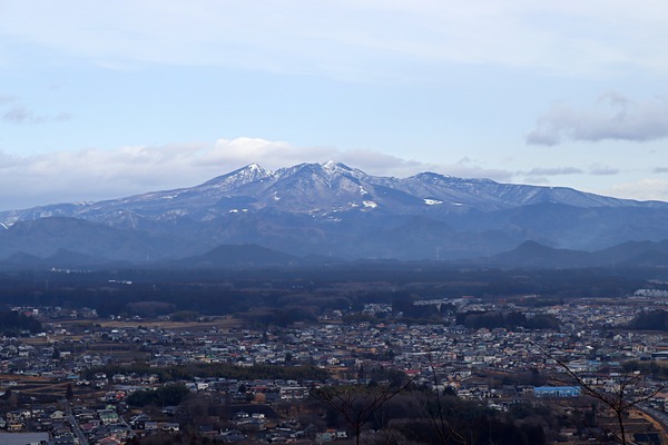 IMG_1981 - コピー