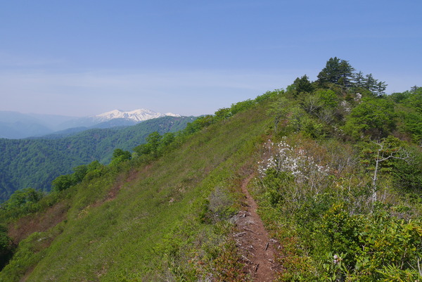 P1210266