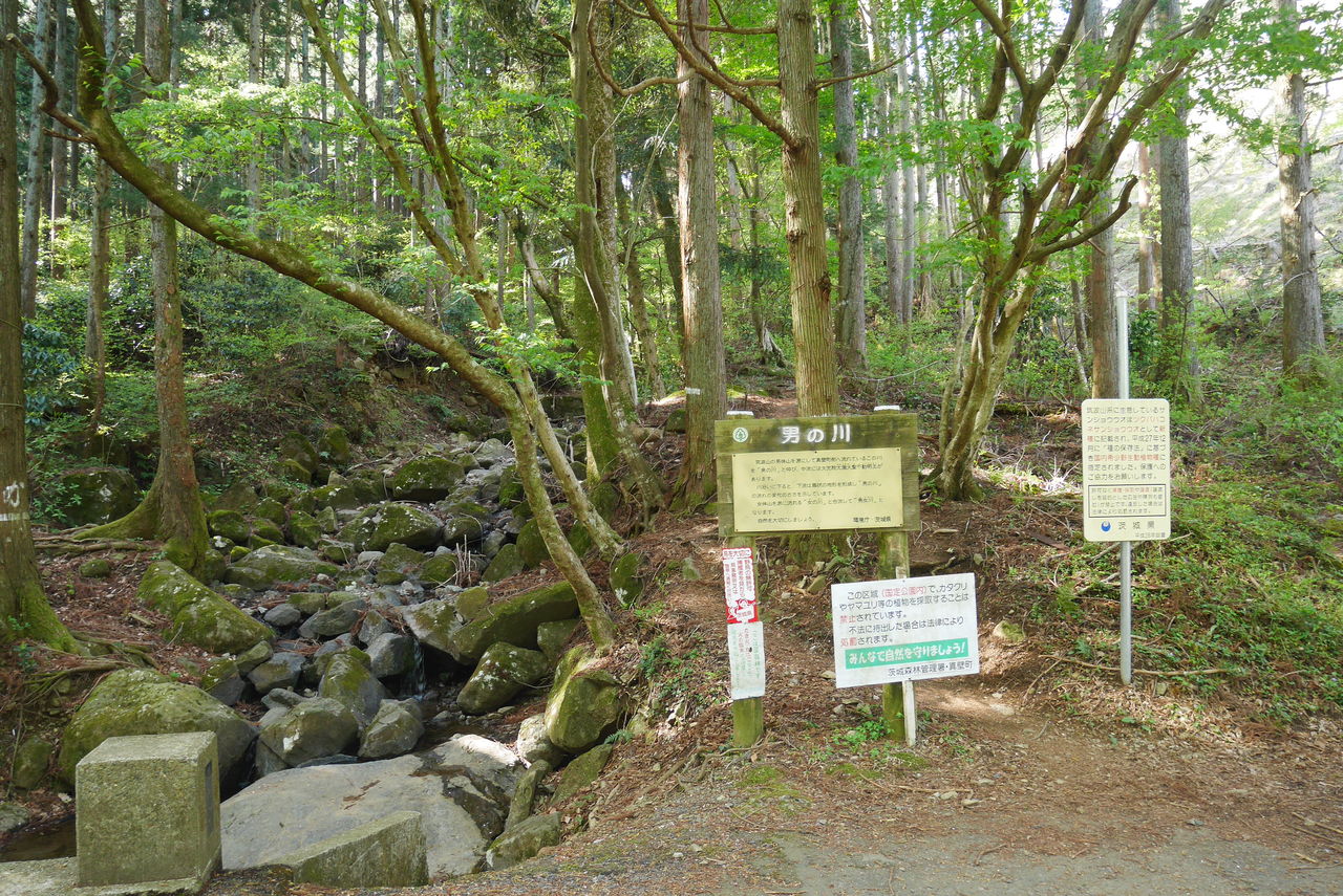 裏筑波 男の川から筑波山 あの空に背伸びして