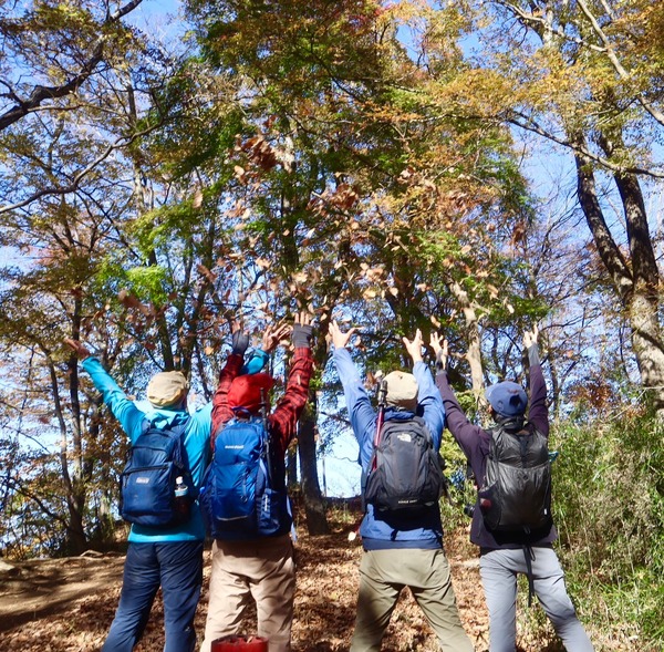 LINE_ALBUM_紅葉の生瀬富士・月居山_241126_14