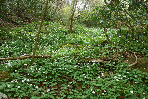 P1200901