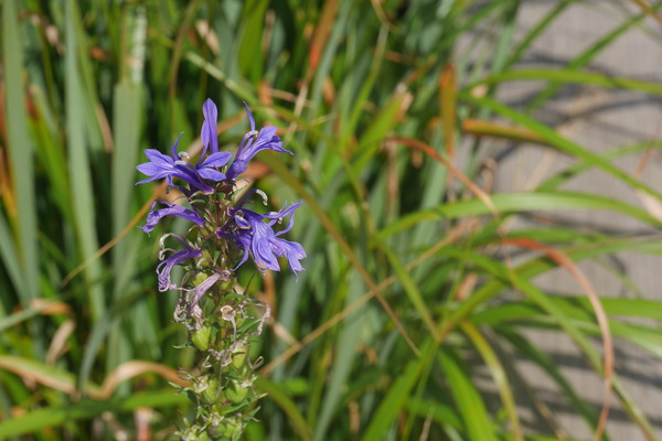 P1250261