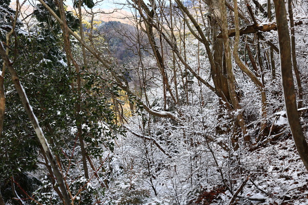 IMG_5457