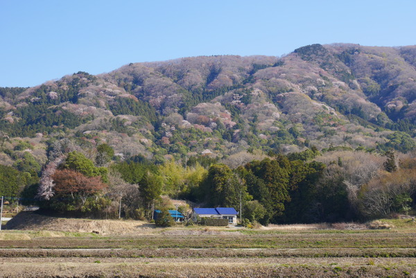 P1200623