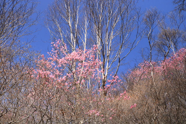 IMG_3628