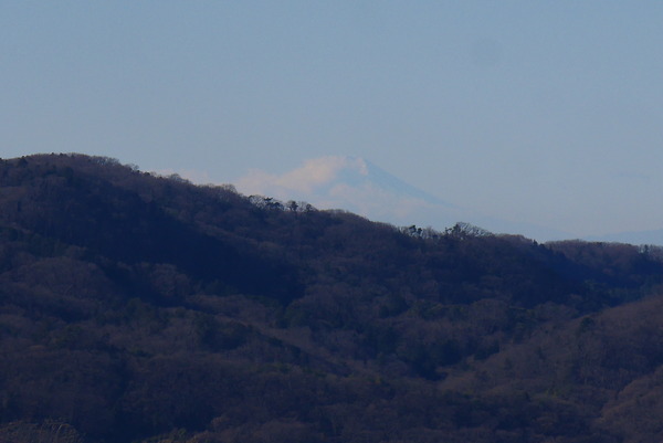 P1190142