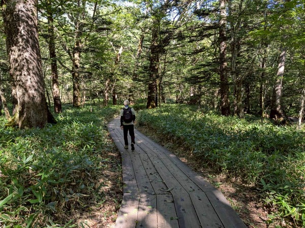 LINE_ALBUM_戦場ヶ原_250906_2