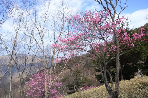 IMG_2305 (2)