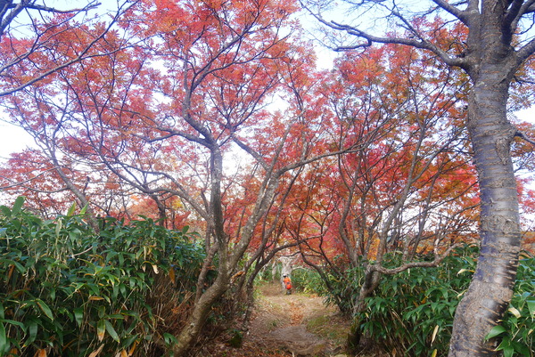 P1170024