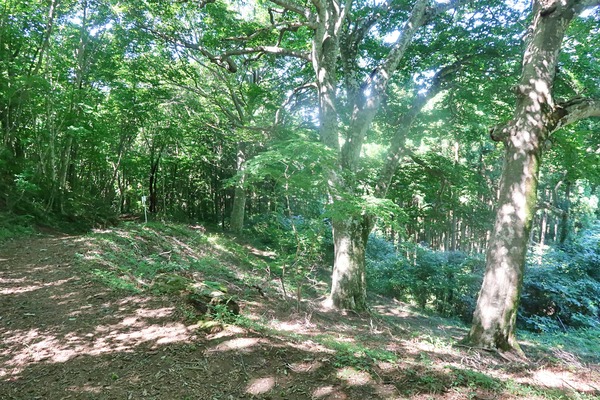 IMG_9266
