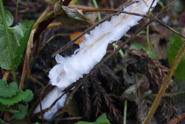 P1180787