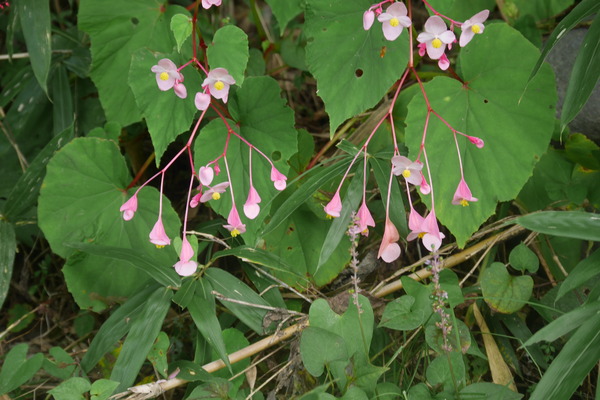 P1250355