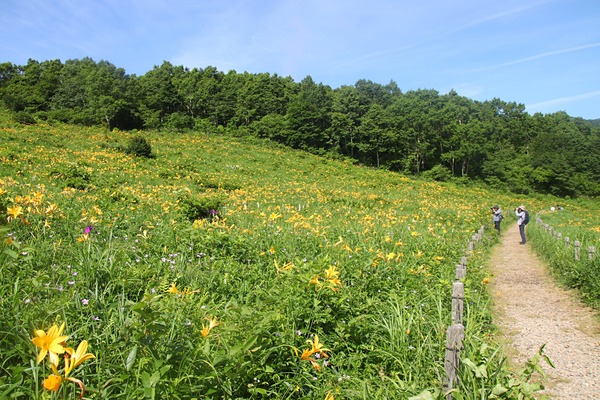 IMG_8685 - コピー