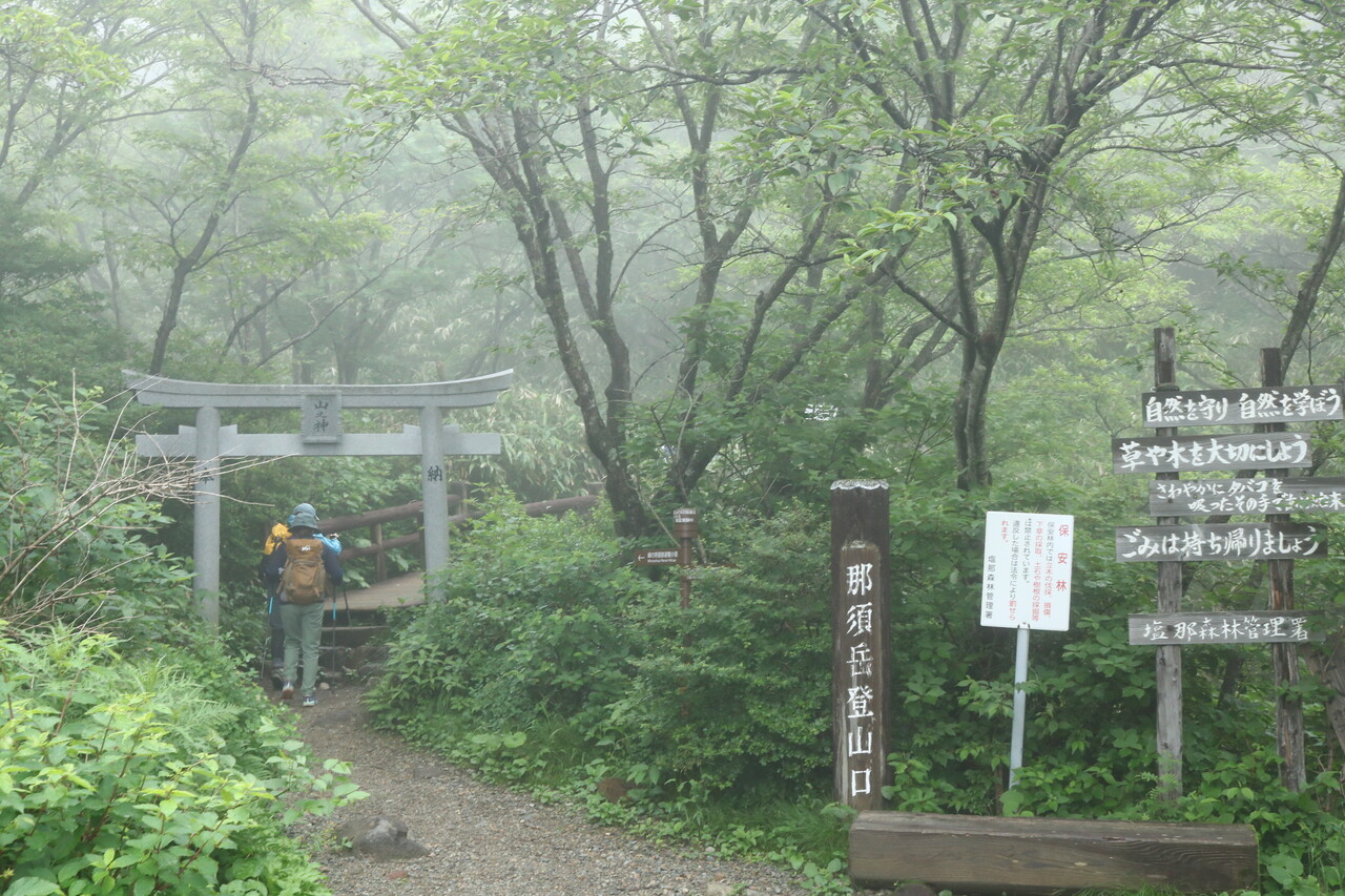 梅雨の合間に那須岳の小さなお花畑へ あの空に背伸びして 梅雨の合間に那須岳の小さなお花畑へ あの空に背伸びして